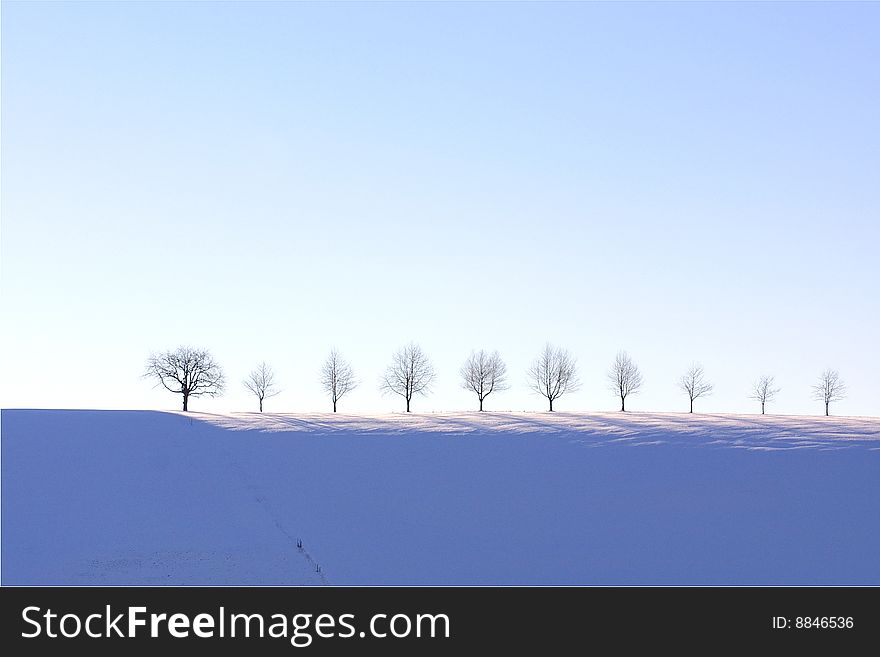 Ten bare trees lined up on the ridge of a snow covered hill. Ten bare trees lined up on the ridge of a snow covered hill.