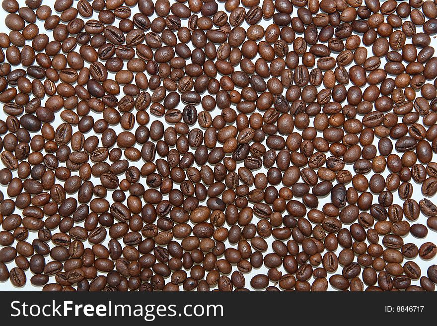 Roasted coffee bean on white background. Roasted coffee bean on white background