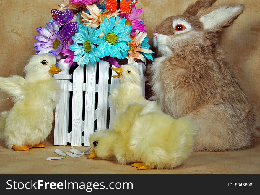 Bunny and ducklings with colorful daisy bouquet. Bunny and ducklings with colorful daisy bouquet.
