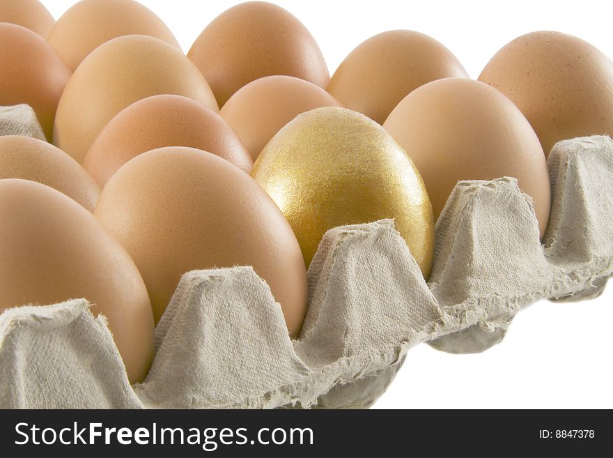 One Golden And Many Ordinary Fresh Rural Eggs