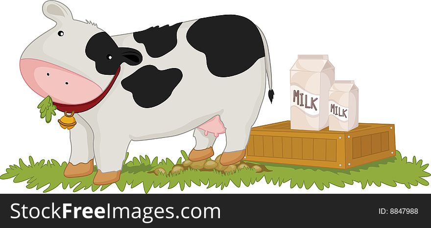 A cow with milk