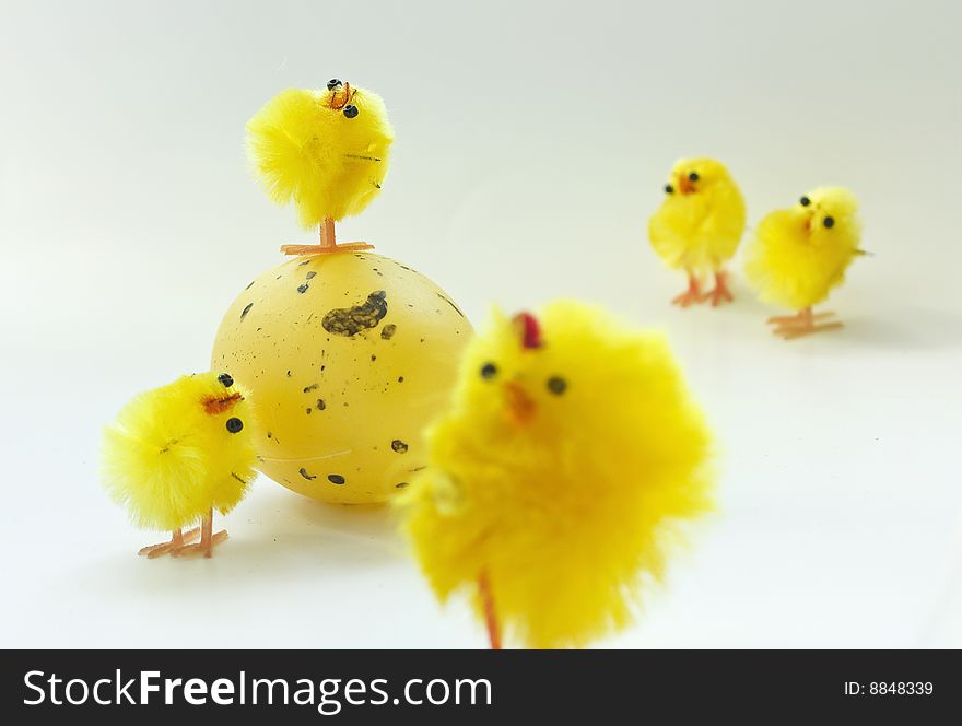 Easter chickens family on white background