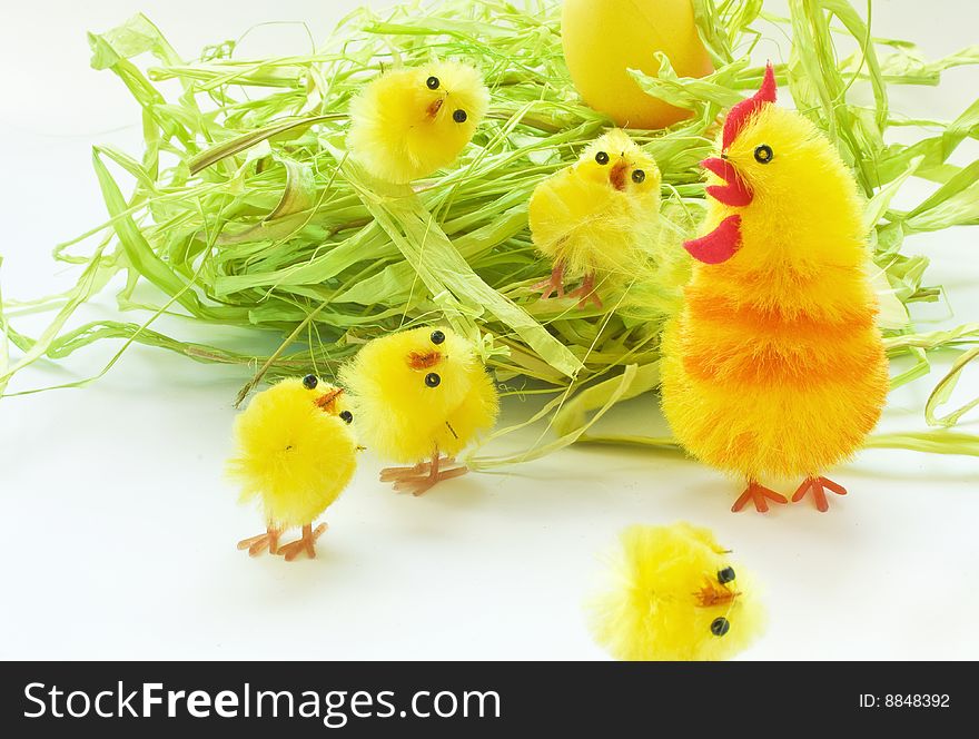 Easter chickens family on white background