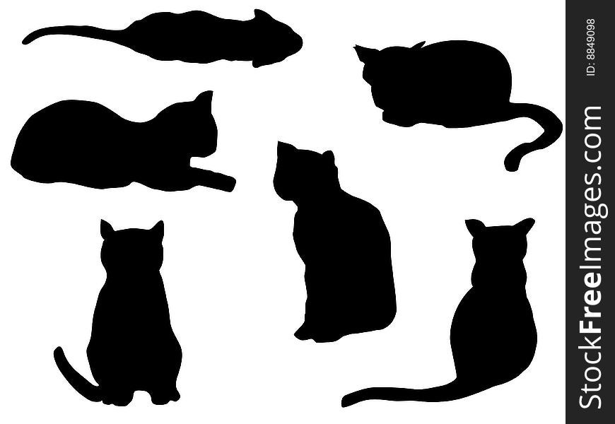 Cats Outline