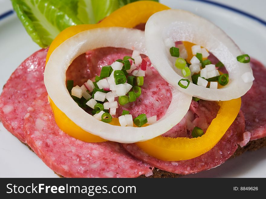 Detail of Danish style salami sandwich with onion rings, yellow bell pepper and chives on a dark rye bread.