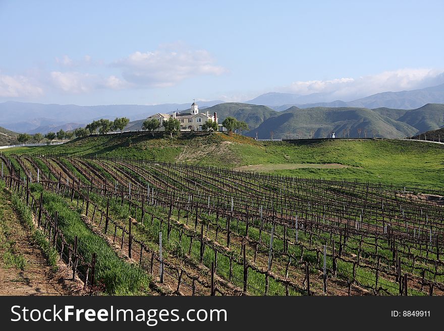 Country Manor Overlooking a Vineyard