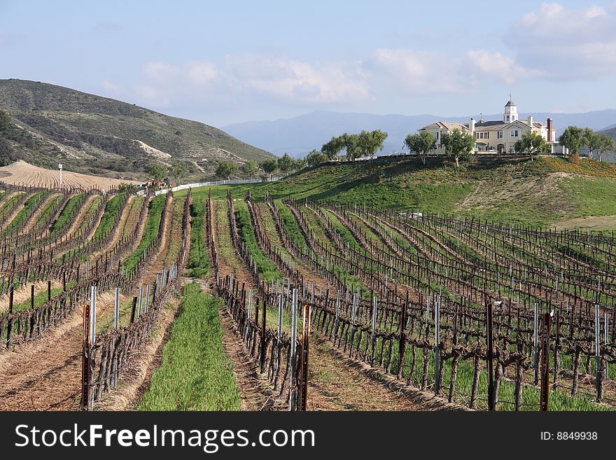 Country Manor Overlooking A Vineyard