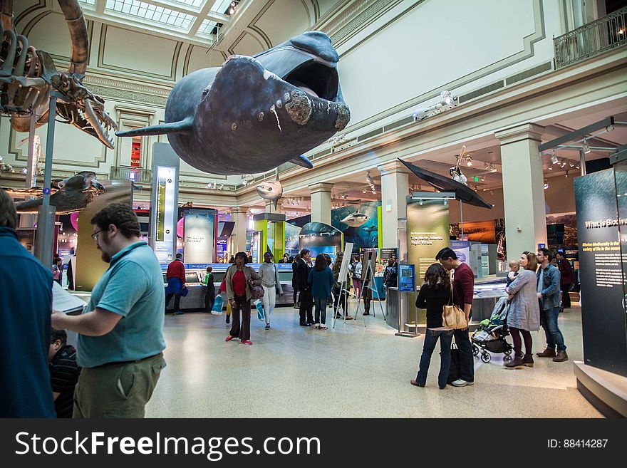 Fulbright Arctic At The National Museum Of Natural History