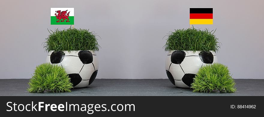Two football plants pots with the Wales and Germany flags to celebrate game in 2016 UEFA European Championship. Two football plants pots with the Wales and Germany flags to celebrate game in 2016 UEFA European Championship.