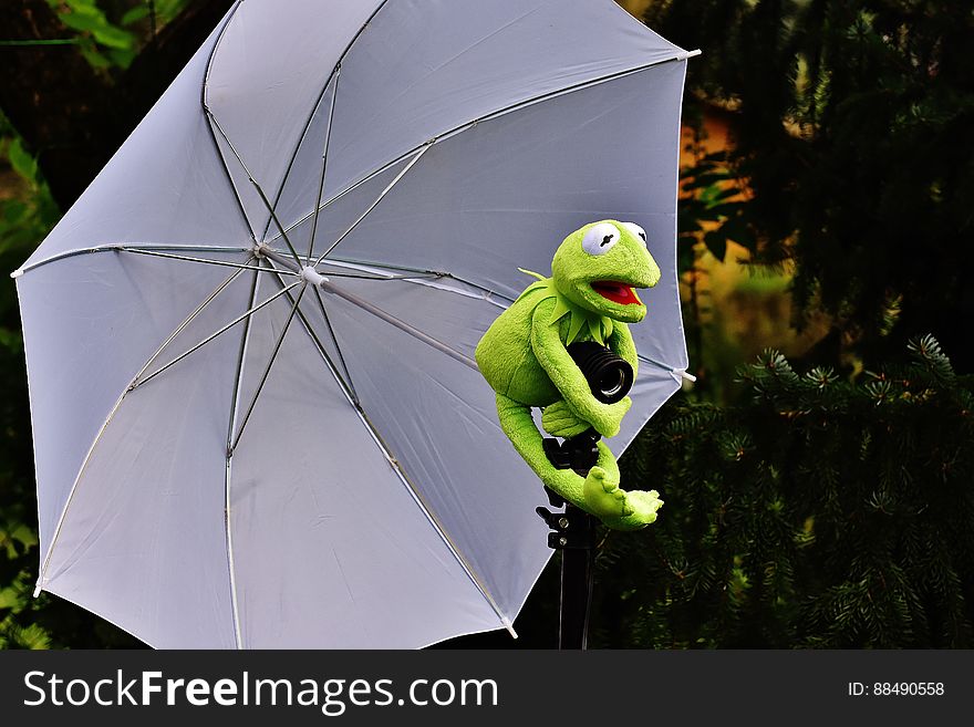 A plush frog holding an umbrella outdoors.