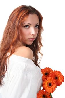 Orange Flowers Stock Photography