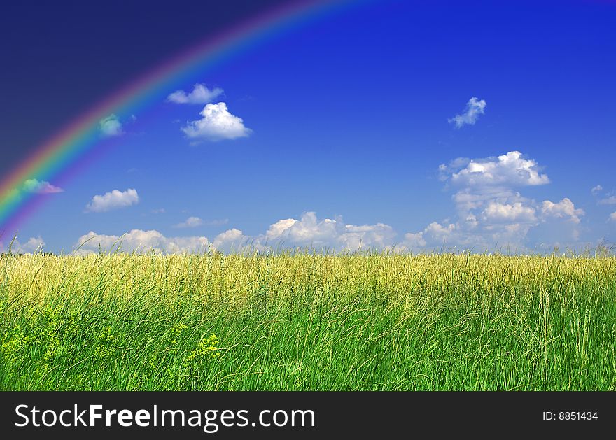 Nice landscape with green grass, blue sky and rainbow. Nice landscape with green grass, blue sky and rainbow