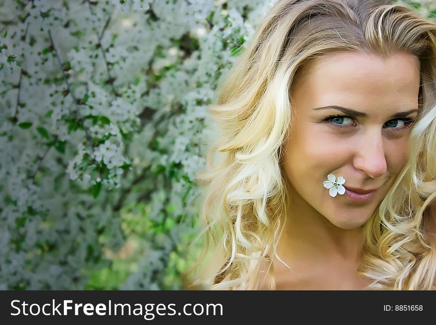 Blonde girl and cherry flowers in spring. Blonde girl and cherry flowers in spring