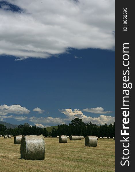 A large, open hayfield with wrapped bales of hay. A large, open hayfield with wrapped bales of hay.