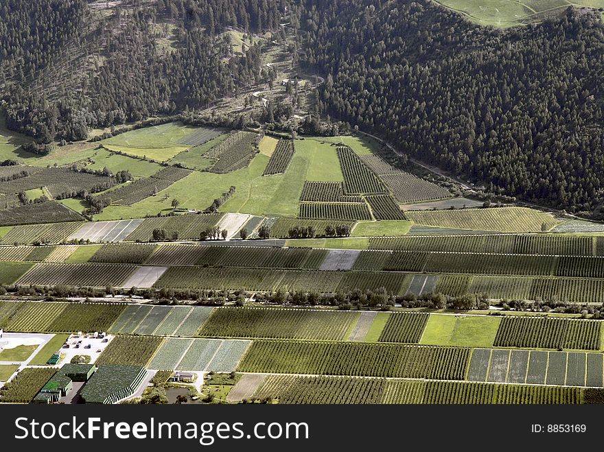 Vineyards valley in northern Italy