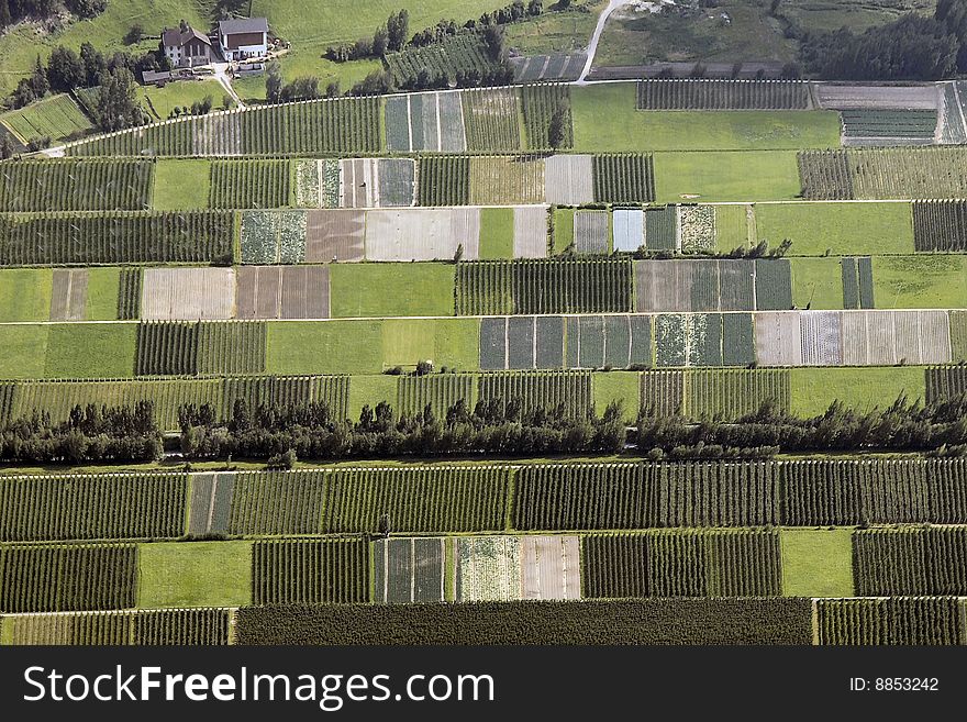Vineyards valley in northern Italy