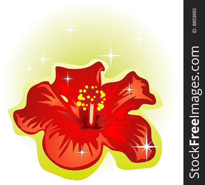 Stylized hibiscus isolated on a white background.