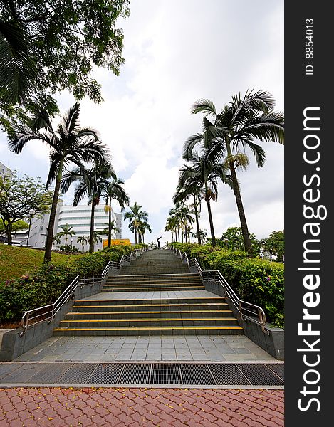 Long flight of stairs lined with palm trees