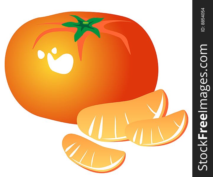 Stylized tangerine and slices isolated on a white background.