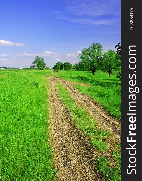 Green field and blue sky landscape with road