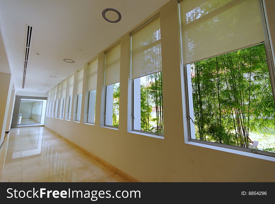 Modern corridor facing bamboo trees. Modern corridor facing bamboo trees