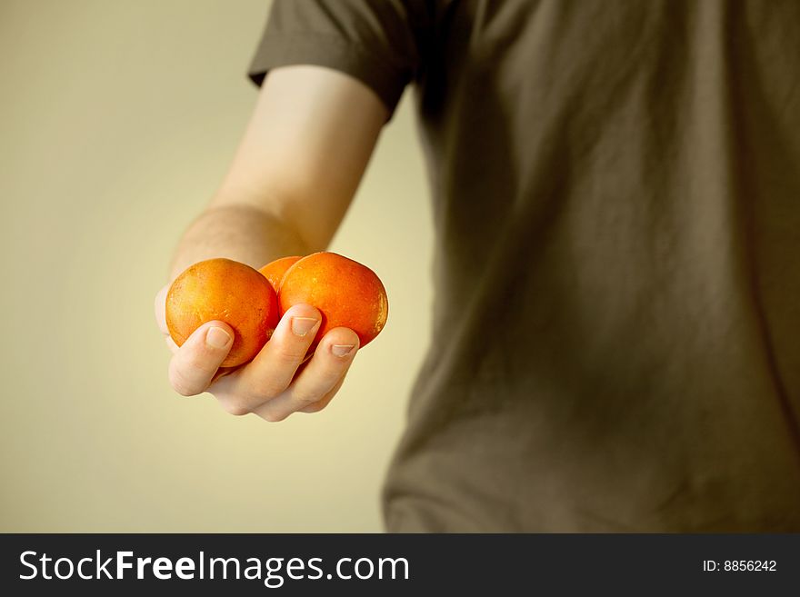 Mandarines In Hands