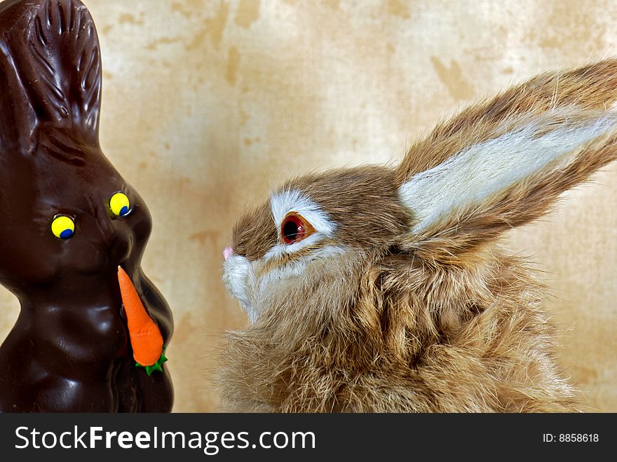 Bunny staring at a chocolate Easter bunny. Bunny staring at a chocolate Easter bunny.