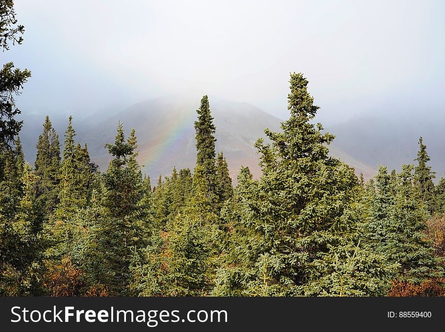 We thought we&#x27;d give you something happy to wake up to this morning &#x28;well, if it&#x27;s morning when you&#x27;re looking at this&#x29;...a rainbow over a lush, mountain forest in Healy, Alaska. No unicorns though, sorry. We thought we&#x27;d give you something happy to wake up to this morning &#x28;well, if it&#x27;s morning when you&#x27;re looking at this&#x29;...a rainbow over a lush, mountain forest in Healy, Alaska. No unicorns though, sorry.