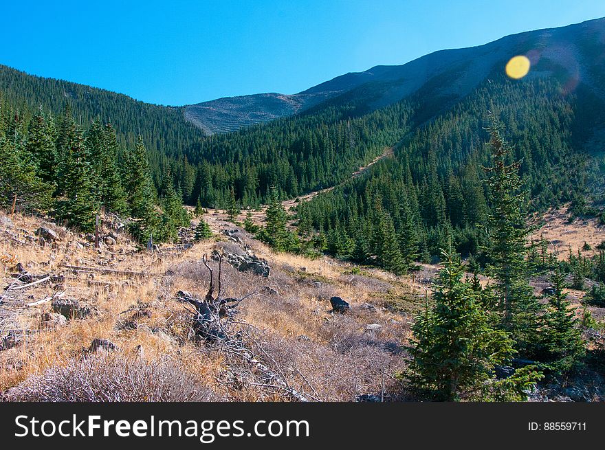 Autumn hike of the Bear Jaw, Waterline, and Abineau Trails Loop on the northern side of Flagstaff&#x27;s San Francisco Peaks. Autumn hike of the Bear Jaw, Waterline, and Abineau Trails Loop on the northern side of Flagstaff&#x27;s San Francisco Peaks.