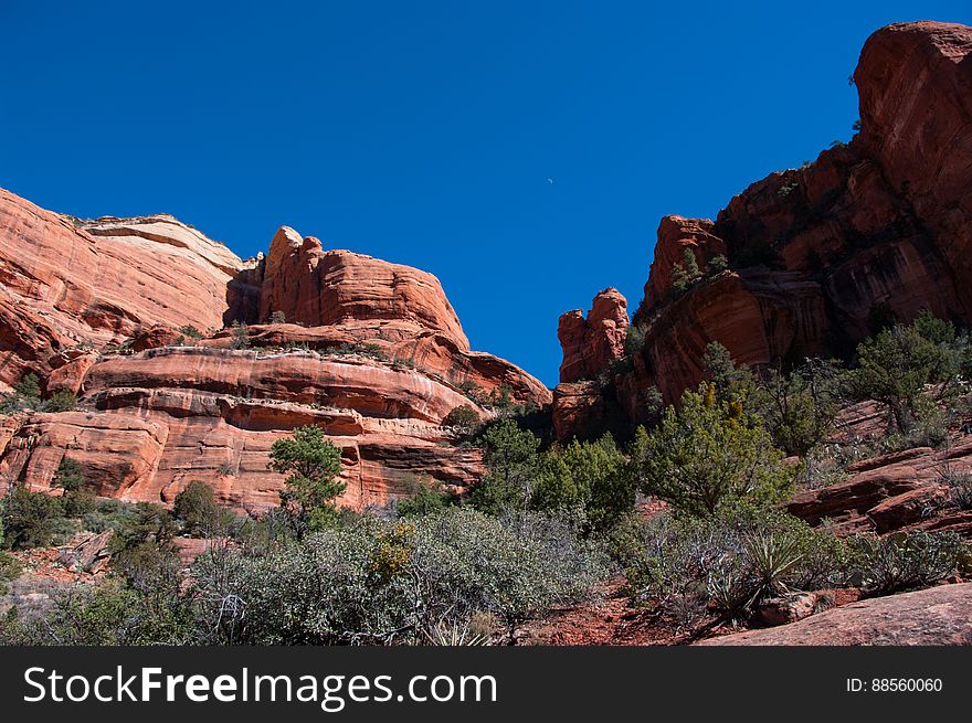 Boyton Canyon Trail No. 47