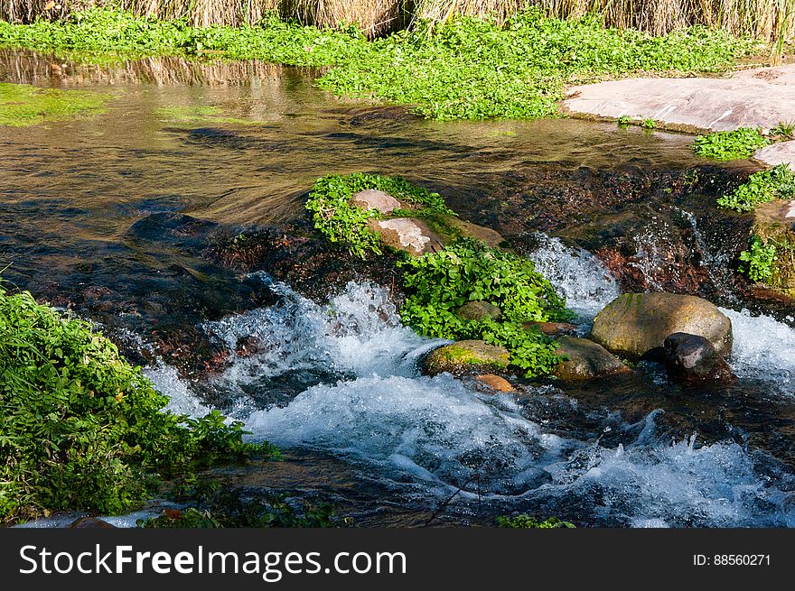 Fossil Creek