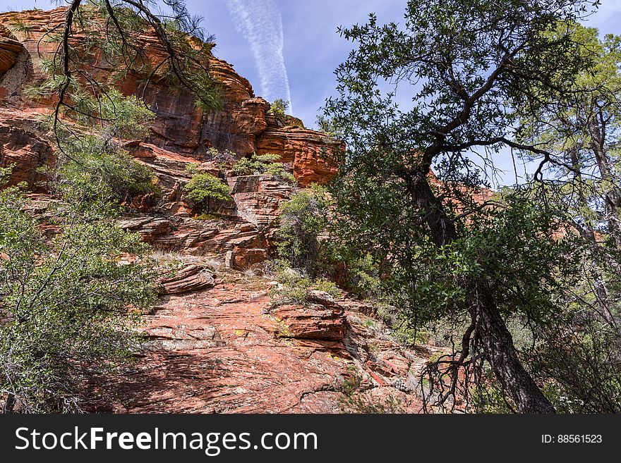 Loy Canyon Trail
