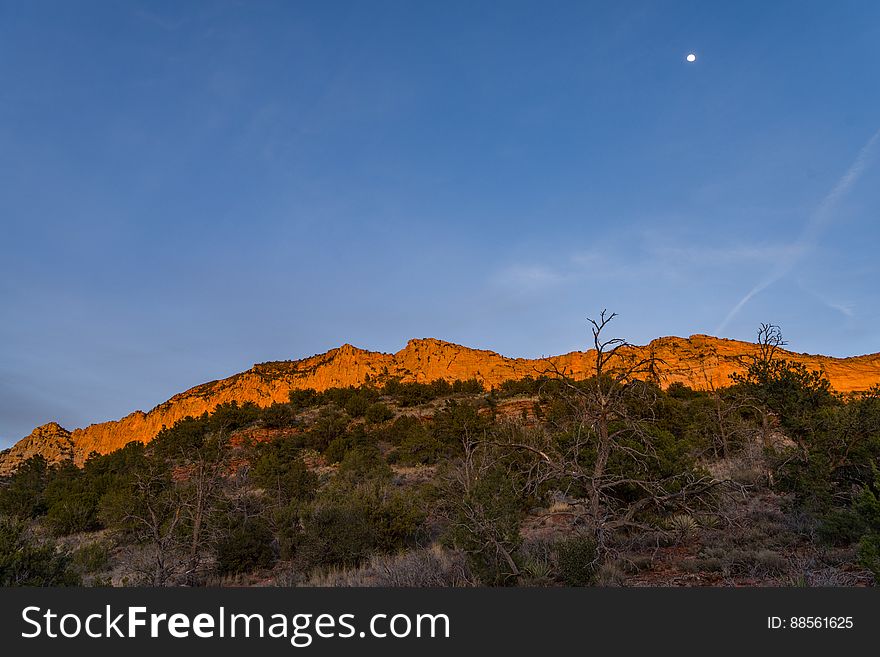 Loy Canyon Trail