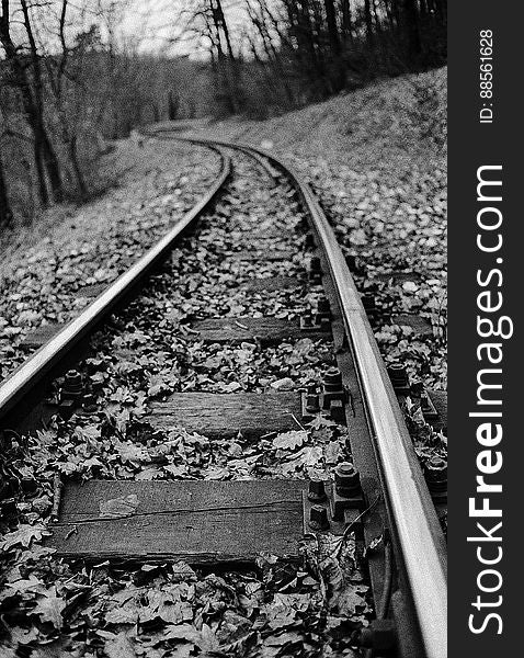 Tracks Of The Children&x27;s Railway