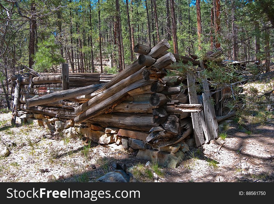 Secret Cabin. 2009-05-06: On the fourth day of our camping trip on the Mogollon Rim above Sedona, we headed to Secret Mountain Trail #109. The Mangums &#x28;authors of Flagstaff Hikes&#x29; list this as one of their favorite trails, mentioning they usually stop just past Secret Cabin on the edge of the mountain where thereâ€™s a nice view. The weather was unseasonably hot, and we chose this trail not only because itâ€™s interesting, but because it stays at fairly high elevation &#x28;instead of diving down into a canyon like so many of the trails in this area&#x29;. The trail starts off running along a bit of a ridge up to a knob where there are some fantastic views. Diving down to a narrow saddle, the trail meets the top of Loy Canyon Trail, then climbs up to a fairly flat run. Around 1.0 mile are the remains of an old dry tank and corral. Itâ€™s almost easy to miss the corral because thereâ€™s just a few posts left, as well as a rusty old dredge. Off to the left just past the corral is Johnson Tank. The tank wall reveals signs of masonry work where the dirt has eroded away. Past Johnson Tank, the trail runs above and to the left of a ravine, where two more tanks hold water. The first, Masonry Tank, is built using local stones to dam a narrow, rocky section of the creek bed. The dam creates a small, shallow pond. Below Masonry Tank is Cement Tank, created from three slabs of preformed concrete. This dam creates a rather large, long, and narrow pond which runs back almost to Masonry Tank. There is a rough footpath running from Cement Tank to above Masonry Tank, a lovely diversion from the main trail. According to the Mangums, this area of forest is virgin. Near Cement Tank, the trail descends to a bench along the creek bed where another, more complete corral and Secret Cabin are situated &#x28;1.8 miles from the trailhead&#x29;. Secret Cabin is in fair shape, its walls standing but its roof has collapsed. According to the Mangums, the cabin was built as a failed homestead, and was later inhabited by a family of polygamous Latter Day Saints escaping persecution, then horse thieves whoâ€™d bring stolen horses up Loy Canyon from Sedona en route to Flagstaff and northern destinations. Heading uphill past the cabin, the trail leads up to a ridge with a nice view and more corrals. The main trail leads off to the left for another 2.8 miles. Since it was pretty hot weather, we decided to follow the Mangums&#x27; recommendation: we had lunch in the shade of a tree, then turned around and headed back to the trailhead, diverting down into the ravine to explore the tanks on the way back. Trip report and full gallery