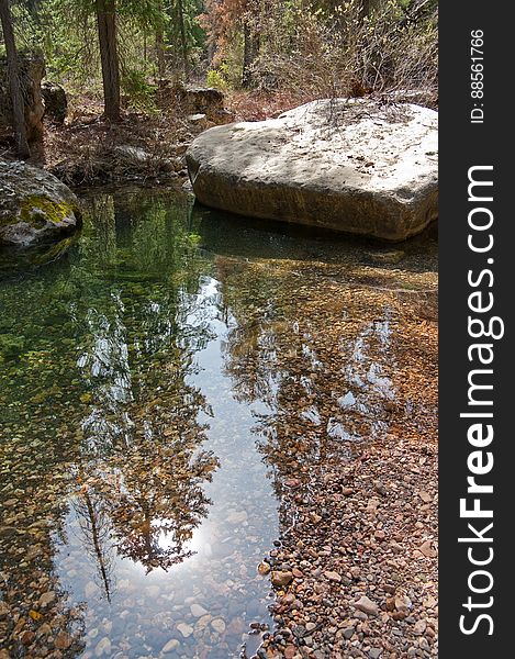 West Fork of Oak Creek