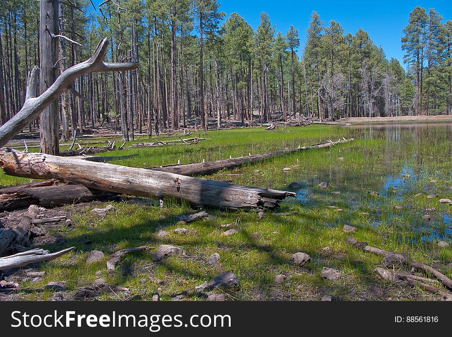 Lost Lake