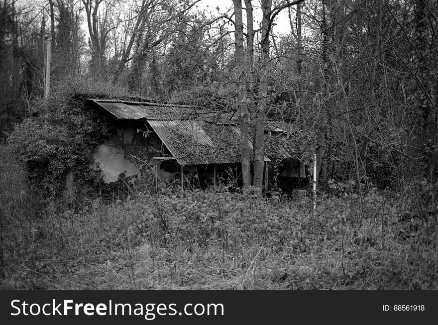 Abandonned Houses In The Forest