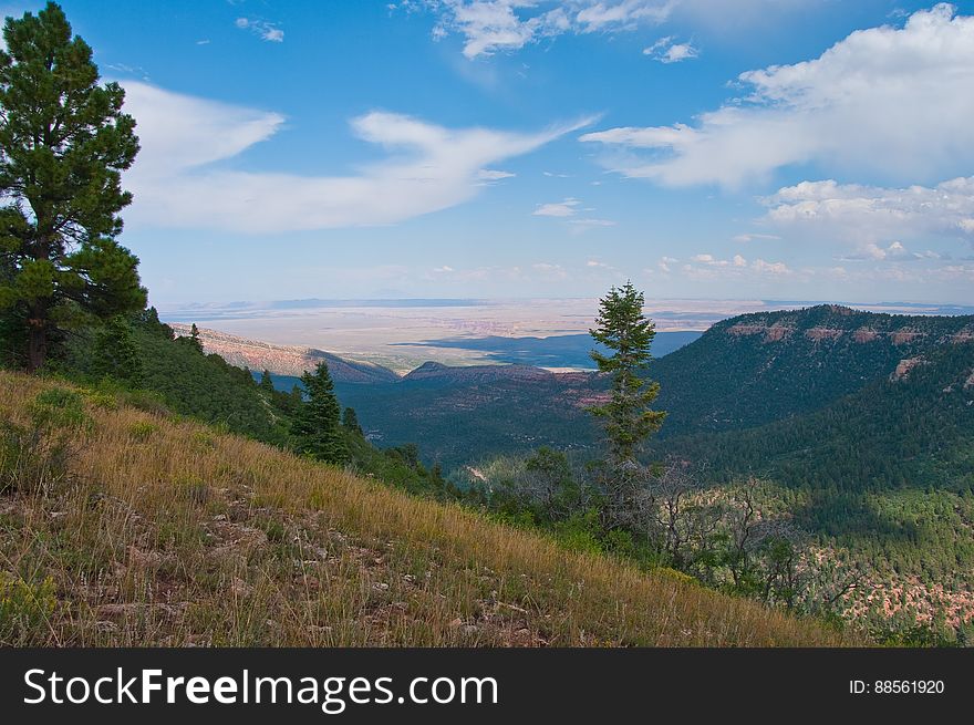 Hike on Kaibab Plateau Trail 101 &#x28;part of the Arizona Trail&#x29; from East Rim Viewpoint to Crystal Spring.
