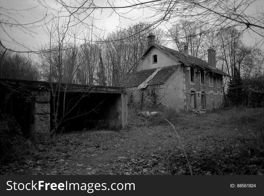 Abandonned Houses In The Forest