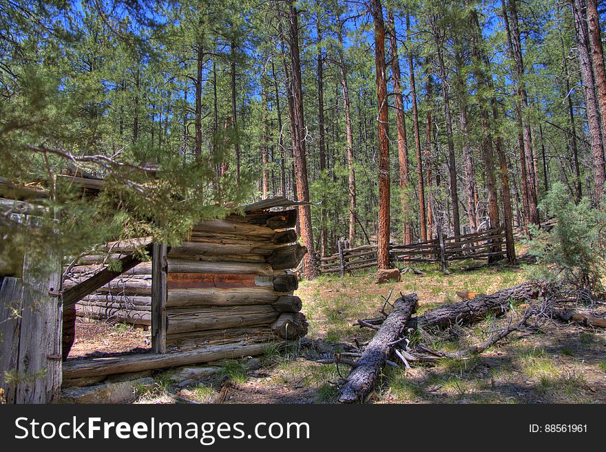 Secret Cabin on Secret Mountain Trail. 2009-05-06: On the fourth day of our camping trip on the Mogollon Rim above Sedona, we headed to Secret Mountain Trail #109. The Mangums &#x28;authors of Flagstaff Hikes&#x29; list this as one of their favorite trails, mentioning they usually stop just past Secret Cabin on the edge of the mountain where thereâ€™s a nice view. The weather was unseasonably hot, and we chose this trail not only because itâ€™s interesting, but because it stays at fairly high elevation &#x28;instead of diving down into a canyon like so many of the trails in this area&#x29;. The trail starts off running along a bit of a ridge up to a knob where there are some fantastic views. Diving down to a narrow saddle, the trail meets the top of Loy Canyon Trail, then climbs up to a fairly flat run. Around 1.0 mile are the remains of an old dry tank and corral. Itâ€™s almost easy to miss the corral because thereâ€™s just a few posts left, as well as a rusty old dredge. Off to the left just past the corral is Johnson Tank. The tank wall reveals signs of masonry work where the dirt has eroded away. Past Johnson Tank, the trail runs above and to the left of a ravine, where two more tanks hold water. The first, Masonry Tank, is built using local stones to dam a narrow, rocky section of the creek bed. The dam creates a small, shallow pond. Below Masonry Tank is Cement Tank, created from three slabs of preformed concrete. This dam creates a rather large, long, and narrow pond which runs back almost to Masonry Tank. There is a rough footpath running from Cement Tank to above Masonry Tank, a lovely diversion from the main trail. According to the Mangums, this area of forest is virgin. Near Cement Tank, the trail descends to a bench along the creek bed where another, more complete corral and Secret Cabin are situated &#x28;1.8 miles from the trailhead&#x29;. Secret Cabin is in fair shape, its walls standing but its roof has collapsed. According to the Mangums, the cabin was built as a failed homestead, and was later inhabited by a family of polygamous Latter Day Saints escaping persecution, then horse thieves whoâ€™d bring stolen horses up Loy Canyon from Sedona en route to Flagstaff and northern destinations. Heading uphill past the cabin, the trail leads up to a ridge with a nice view and more corrals. The main trail leads off to the left for another 2.8 miles. Since it was pretty hot weather, we decided to follow the Mangums&#x27; recommendation: we had lunch in the shade of a tree, then turned around and headed back to the trailhead, diverting down into the ravine to explore the tanks on the way back. Trip report and full gallery