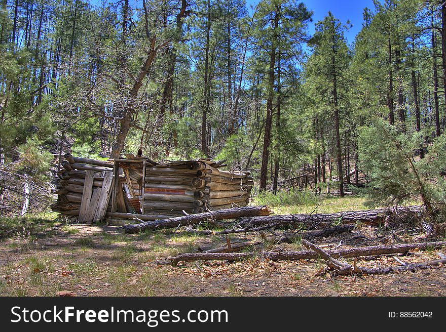 Secret Cabin on Secret Mountain Trail. 2009-05-06: On the fourth day of our camping trip on the Mogollon Rim above Sedona, we headed to Secret Mountain Trail #109. The Mangums &#x28;authors of Flagstaff Hikes&#x29; list this as one of their favorite trails, mentioning they usually stop just past Secret Cabin on the edge of the mountain where thereâ€™s a nice view. The weather was unseasonably hot, and we chose this trail not only because itâ€™s interesting, but because it stays at fairly high elevation &#x28;instead of diving down into a canyon like so many of the trails in this area&#x29;. The trail starts off running along a bit of a ridge up to a knob where there are some fantastic views. Diving down to a narrow saddle, the trail meets the top of Loy Canyon Trail, then climbs up to a fairly flat run. Around 1.0 mile are the remains of an old dry tank and corral. Itâ€™s almost easy to miss the corral because thereâ€™s just a few posts left, as well as a rusty old dredge. Off to the left just past the corral is Johnson Tank. The tank wall reveals signs of masonry work where the dirt has eroded away. Past Johnson Tank, the trail runs above and to the left of a ravine, where two more tanks hold water. The first, Masonry Tank, is built using local stones to dam a narrow, rocky section of the creek bed. The dam creates a small, shallow pond. Below Masonry Tank is Cement Tank, created from three slabs of preformed concrete. This dam creates a rather large, long, and narrow pond which runs back almost to Masonry Tank. There is a rough footpath running from Cement Tank to above Masonry Tank, a lovely diversion from the main trail. According to the Mangums, this area of forest is virgin. Near Cement Tank, the trail descends to a bench along the creek bed where another, more complete corral and Secret Cabin are situated &#x28;1.8 miles from the trailhead&#x29;. Secret Cabin is in fair shape, its walls standing but its roof has collapsed. According to the Mangums, the cabin was built as a failed homestead, and was later inhabited by a family of polygamous Latter Day Saints escaping persecution, then horse thieves whoâ€™d bring stolen horses up Loy Canyon from Sedona en route to Flagstaff and northern destinations. Heading uphill past the cabin, the trail leads up to a ridge with a nice view and more corrals. The main trail leads off to the left for another 2.8 miles. Since it was pretty hot weather, we decided to follow the Mangums&#x27; recommendation: we had lunch in the shade of a tree, then turned around and headed back to the trailhead, diverting down into the ravine to explore the tanks on the way back. Trip report and full gallery