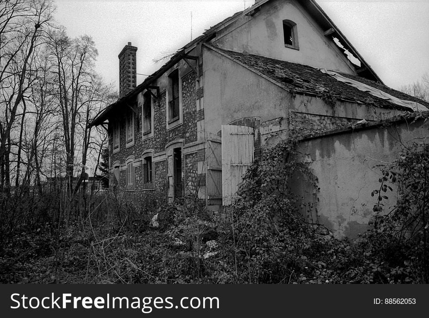 Abandonned Houses In The Forest