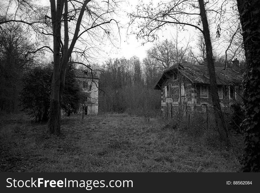 Abandonned houses in the forest