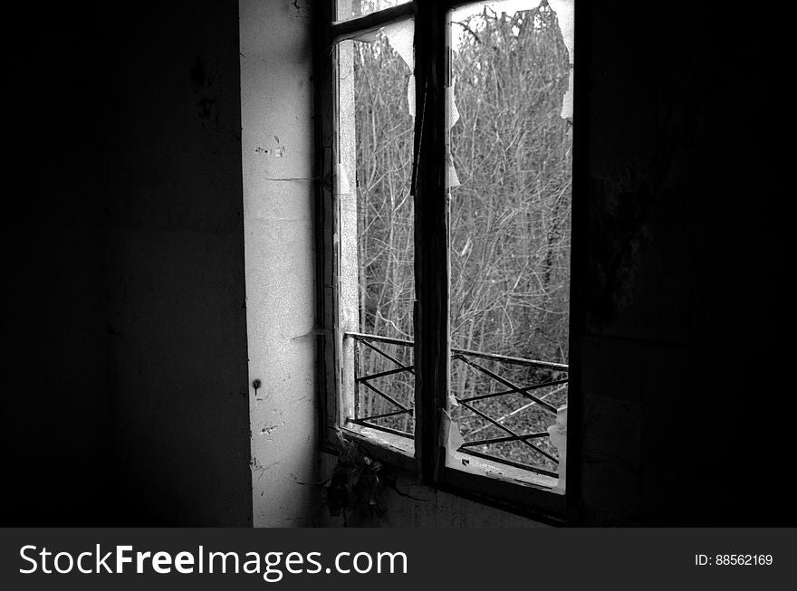 Abandonned houses in the forest