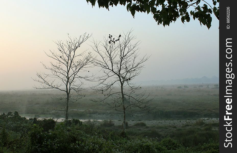 Approaching the forest watchtower, Chilapata forest