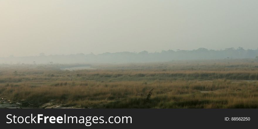 Fog over the landscape, Chilapata