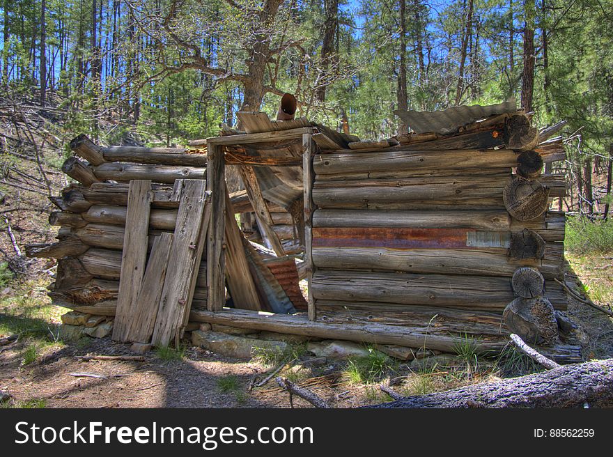 Secret Cabin on Secret Mountain Trail. 2009-05-06: On the fourth day of our camping trip on the Mogollon Rim above Sedona, we headed to Secret Mountain Trail #109. The Mangums &#x28;authors of Flagstaff Hikes&#x29; list this as one of their favorite trails, mentioning they usually stop just past Secret Cabin on the edge of the mountain where thereâ€™s a nice view. The weather was unseasonably hot, and we chose this trail not only because itâ€™s interesting, but because it stays at fairly high elevation &#x28;instead of diving down into a canyon like so many of the trails in this area&#x29;. The trail starts off running along a bit of a ridge up to a knob where there are some fantastic views. Diving down to a narrow saddle, the trail meets the top of Loy Canyon Trail, then climbs up to a fairly flat run. Around 1.0 mile are the remains of an old dry tank and corral. Itâ€™s almost easy to miss the corral because thereâ€™s just a few posts left, as well as a rusty old dredge. Off to the left just past the corral is Johnson Tank. The tank wall reveals signs of masonry work where the dirt has eroded away. Past Johnson Tank, the trail runs above and to the left of a ravine, where two more tanks hold water. The first, Masonry Tank, is built using local stones to dam a narrow, rocky section of the creek bed. The dam creates a small, shallow pond. Below Masonry Tank is Cement Tank, created from three slabs of preformed concrete. This dam creates a rather large, long, and narrow pond which runs back almost to Masonry Tank. There is a rough footpath running from Cement Tank to above Masonry Tank, a lovely diversion from the main trail. According to the Mangums, this area of forest is virgin. Near Cement Tank, the trail descends to a bench along the creek bed where another, more complete corral and Secret Cabin are situated &#x28;1.8 miles from the trailhead&#x29;. Secret Cabin is in fair shape, its walls standing but its roof has collapsed. According to the Mangums, the cabin was built as a failed homestead, and was later inhabited by a family of polygamous Latter Day Saints escaping persecution, then horse thieves whoâ€™d bring stolen horses up Loy Canyon from Sedona en route to Flagstaff and northern destinations. Heading uphill past the cabin, the trail leads up to a ridge with a nice view and more corrals. The main trail leads off to the left for another 2.8 miles. Since it was pretty hot weather, we decided to follow the Mangums&#x27; recommendation: we had lunch in the shade of a tree, then turned around and headed back to the trailhead, diverting down into the ravine to explore the tanks on the way back. Trip report and full gallery