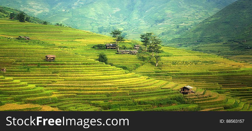 A view over rice fields on terraces. A view over rice fields on terraces.