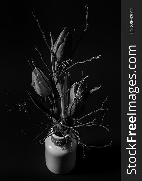 A black and white close up of dry tulips with twigs in a vase. A black and white close up of dry tulips with twigs in a vase.